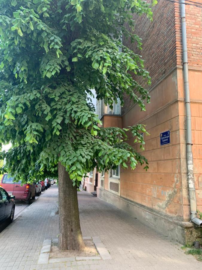 Appartamento Vel Люкс Černivci Esterno foto